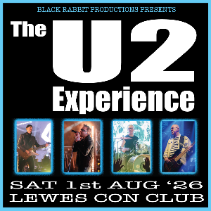 The U2 Experience