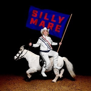 Hayley Elllis: Silly Mare