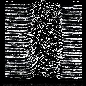 Shadowplay - The Definitive Joy Division Tribute