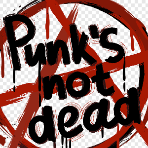 Hartlepool Punk Night