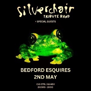 Silverchair Tribute Band