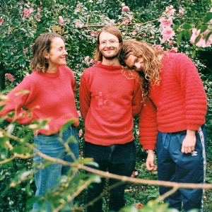 Elm & Tealeaf