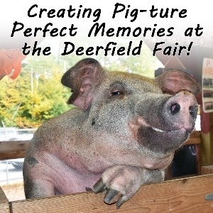Deerfield Fair 2025 Deerfield Fair 2025