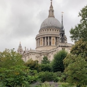 City Highlights Walk