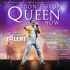 Don't Stop Queen Now