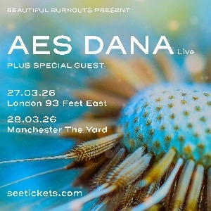 AES DANA