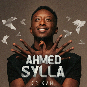 AHMED SYLLA - ORIGAMI