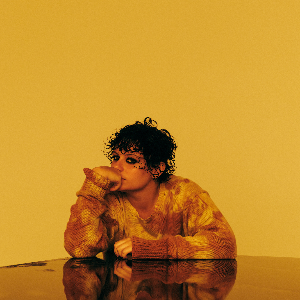 Ana Frango Elétrico