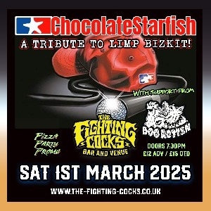 Chocolate Starfish - Tribute to Limp Bizkit