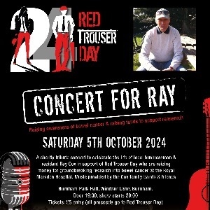 Concert for Ray