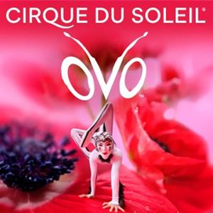 Cirque du Soleil: OVO