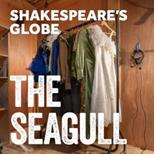 The Seagull