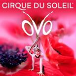 Cirque du Soleil: OVO