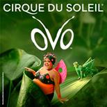 Cirque du Soleil: OVO