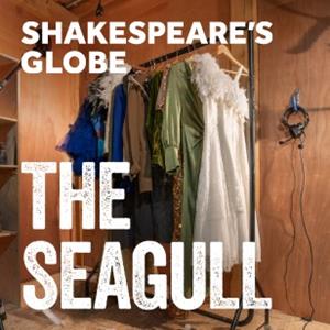 The Seagull