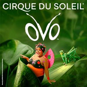 Cirque du Soleil: OVO Cirque du Soleil: OVO