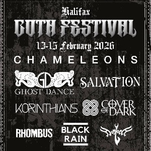 Cover of Dark Cover of Dark