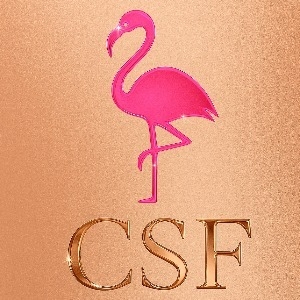CSF - Boat party