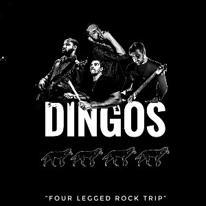 Dingos ao vivo na SMUP Dingos ao vivo na SMUP