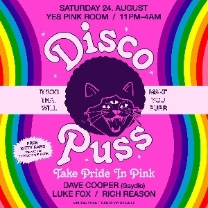 DISCO PUSS - YES (Pink Room) (Manchester)