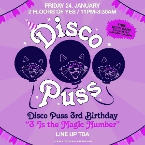 Disco Puss 3rd Birthday