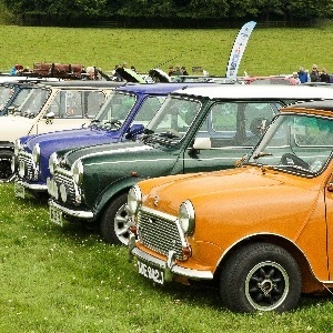 FESTIVAL OF 1,000 CLASSIC CARS