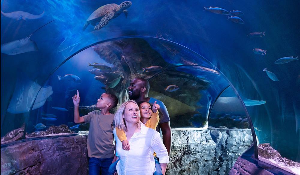 SEA LIFE London Aquarium