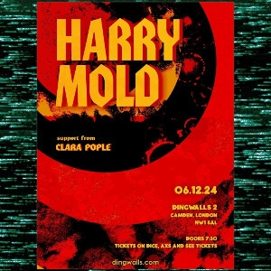 Harry Mold