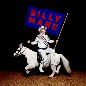 Hayley Ellis: Silly Mare