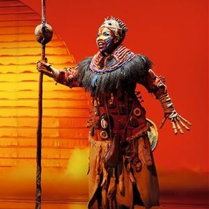 Disfruta del musical en Madrid