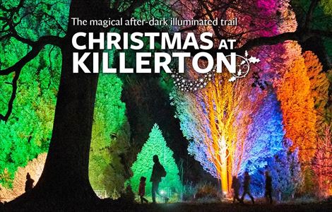 Christmas On Morton Street 2022 See Tickets - Festive Events And Shows