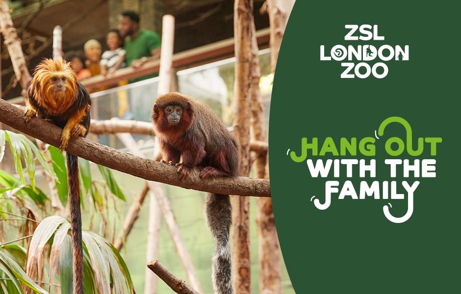 See Tickets Music, Theatre and Event Tickets