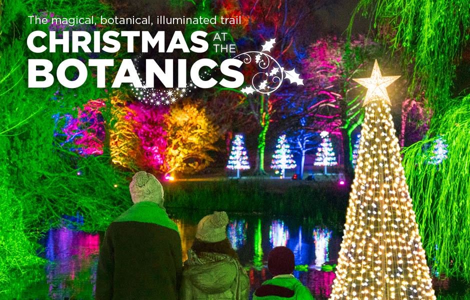 Christmas At The Botanics