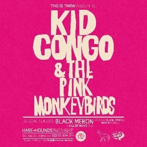 KID CONGO & THE PINK MONEY BIRDS