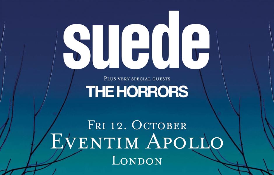 gigs and tours suede
