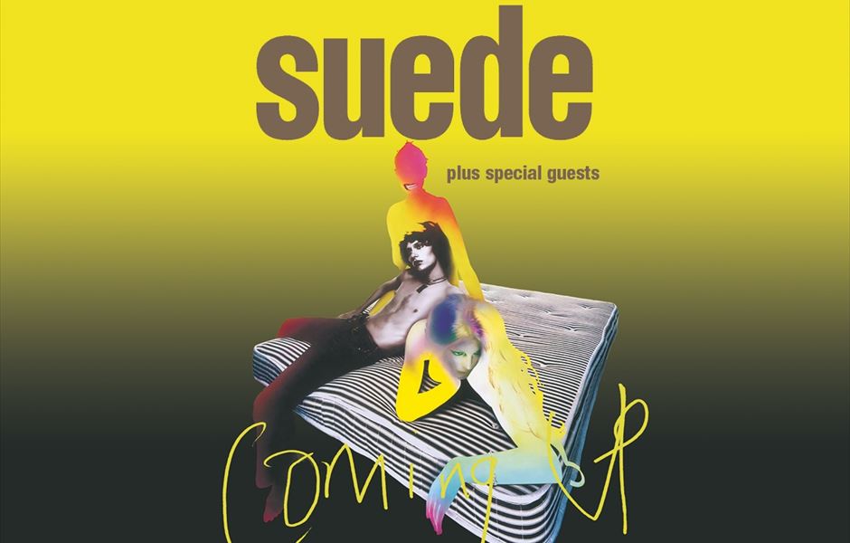 gigs and tours suede