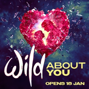 Wild About You