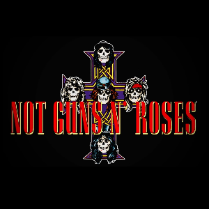 Not Guns n Roses