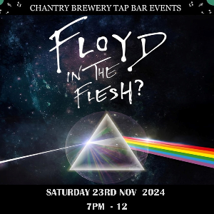 PINK FLOYD IN THE FLESH - TRIBUTE SHOW