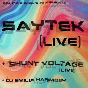 Saytek Live