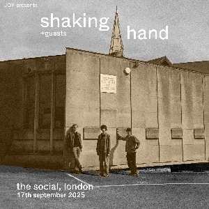 Shaking Hand