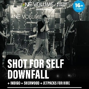 Shot For Self Downfall + Indigo + More Shot For Self Downfall + Indigo + More