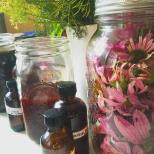 Autumn Herbal Apothecary