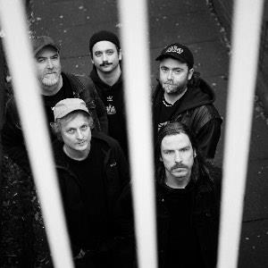 PIGS PIGS PIGS PIGS PIGS PIGS PIGS