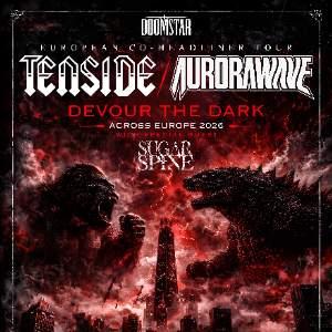 Tenside x Aurorawave