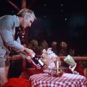 Pizza, Pinot, & Rock N Roll: Wine And Pizza Pairing