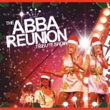 Abba Reunion - Christmas Special