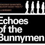 Echoes of the Bunnymen