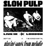 Slow Pulp