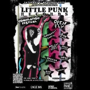 Little Punk Records Compilation Festival